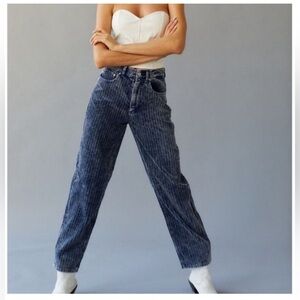 BDG Blue Wide Leg Pants